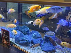 -黄鱼炙夜·烧烤·小龙虾(星荟广场店)
