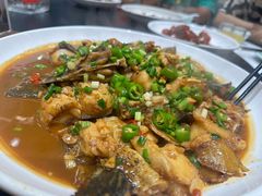 -全乐鱼馆·淳牌有机鱼直营店
