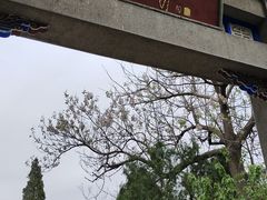 -青州市云门山风景区