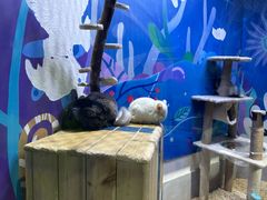 -海合安青岛极地海洋公园