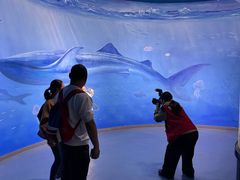-重庆欢乐海底世界