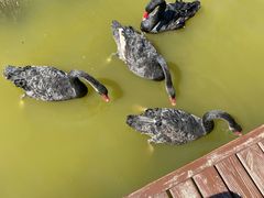 -南大港湿地风景区