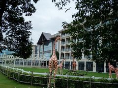 -汤山紫清湖旅游区