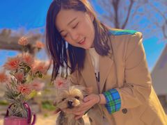 -安德鲁户外烧烤帐篷营地(马泉营店)