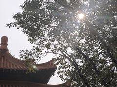 -亭林园-华藏寺