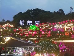 -枇杷园食为鲜火锅(南山店)