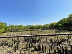 -河姆渡遗址博物馆