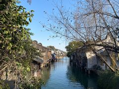 -乌镇西栅景区