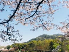 -白马涧龙池景区