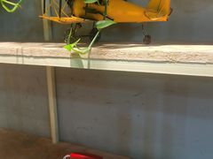 -喜识·冰糖葫芦·炒酸奶(西美花街店)