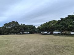 -江心屿景区