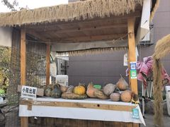 -辛庄国际文化艺术区