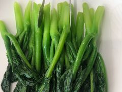 -食神鱼头佛跳墙(百子湾旗舰店)