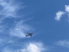 -空港花田景区