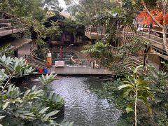 -海南槟榔谷黎苗文化旅游区