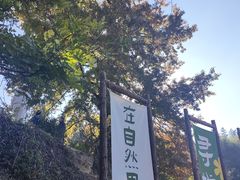 -塔川景区