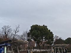 -映月湖中央公园