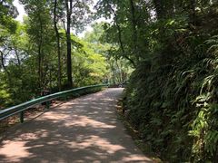 -南山植物园