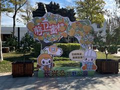 -上海长兴岛郊野公园