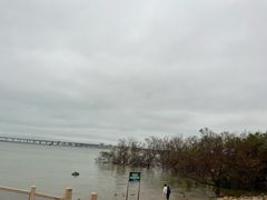 -宝安西湾红树林湿地公园