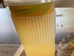海盐冰柠-猫的茶·猫咖