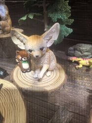 -Zoolung Zoolung动物主题公园(海信广场店)