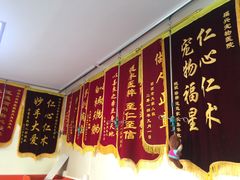 -瑞派福兴宠物医院犬猫全科·骨科·中西医结合(河东店)