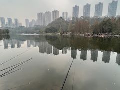 -重庆彩云湖湿地公园