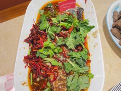 -杨氏青龙虾·羊蝎子(珠江路店)