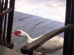 -外婆家(杭州马塍店·杭帮菜名店)