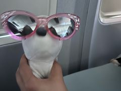 -奥黑尔国际机场