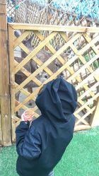 -萌宠亲子动物乐园(槐房万达店)