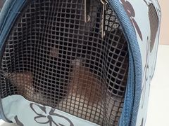 -守诺宠物医院·眼科· 神经外科·爬宠专科(虹口店)