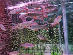 -洛阳龙门海洋馆