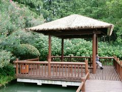 -圩墩遗址公园