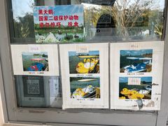 -琅岐红光湖公园
