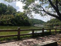 -李小龙乐园(顺德均安店)