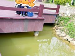 -佛冈森波拉度假区