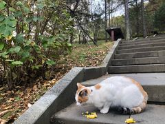 -六鼎山文化旅游区