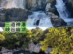 -呀诺达热带雨林