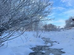 -乌兰布统草原