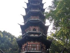 景点-上海佘山国家森林公园西佘山园