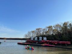 -上海海湾国家森林公园