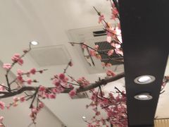 -老板恋上鱼(荣盛广场店)