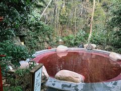 -天目湖御水温泉·度假酒店