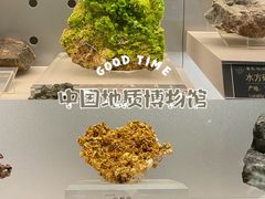 -中国地质博物馆