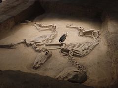 -洛阳周王城天子驾六博物馆