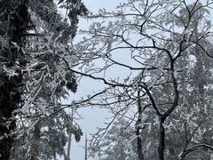 -峨眉山风景名胜区