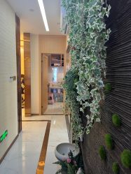 -芳朵美容养生SPA