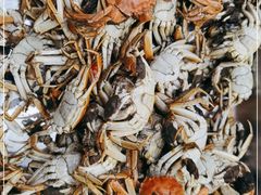 -好伦哥(温都水城店)